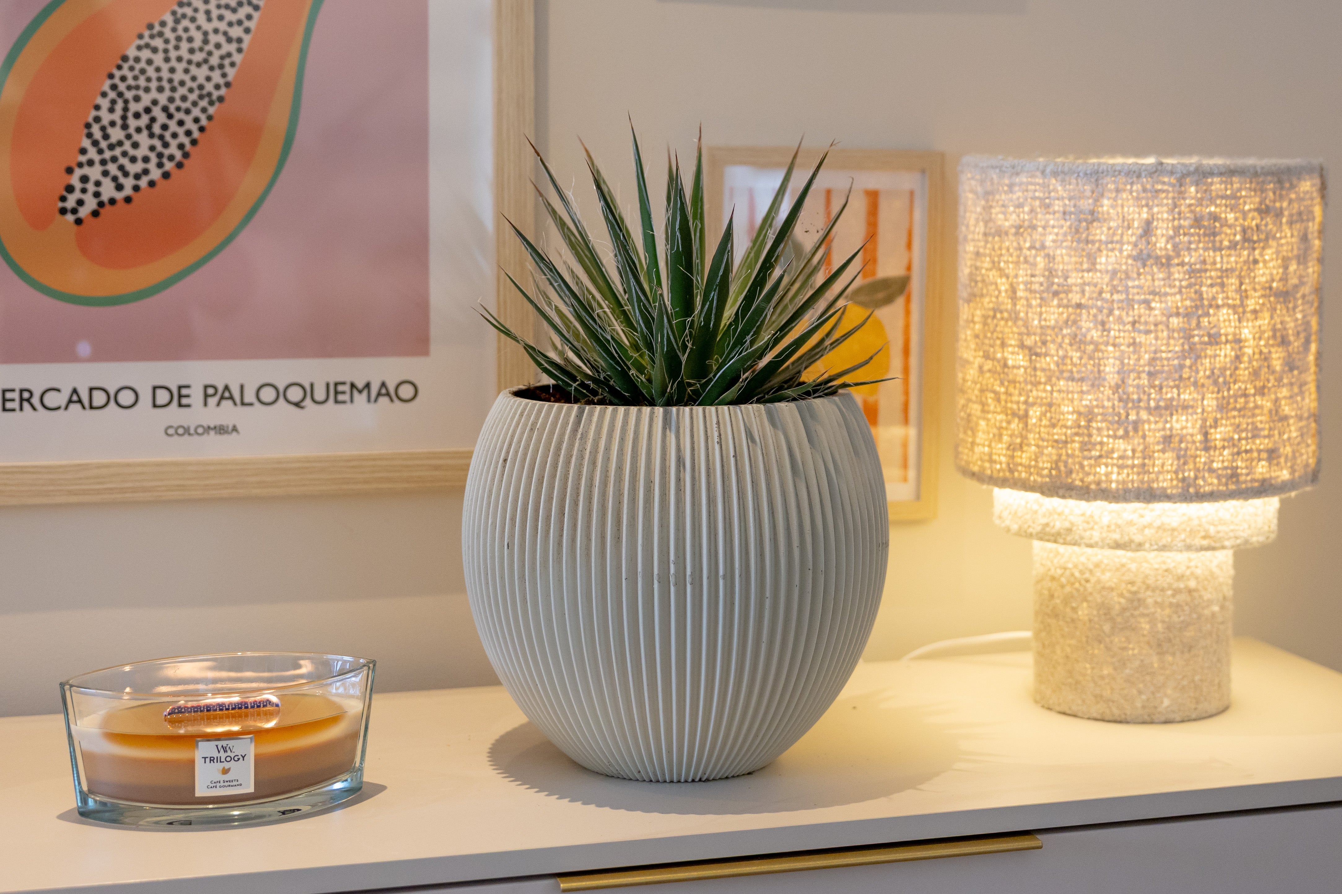 Atmooz on De Grote Tuinverbouwing: shop the lamps and furniture from the SBS6 show