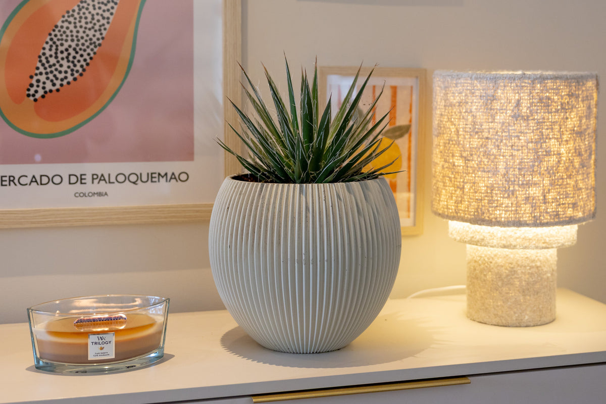 Atmooz on De Grote Tuinverbouwing: shop the lamps and furniture from the SBS6 show