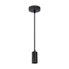 Hanglamp Freely incl. plafondplaat | zwart
