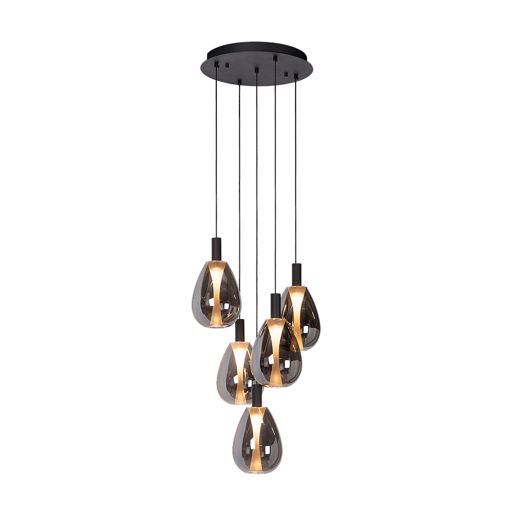 Suspension Xerus