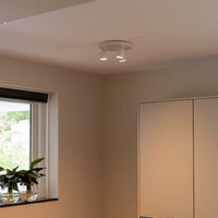 LIG93511_5.jpg