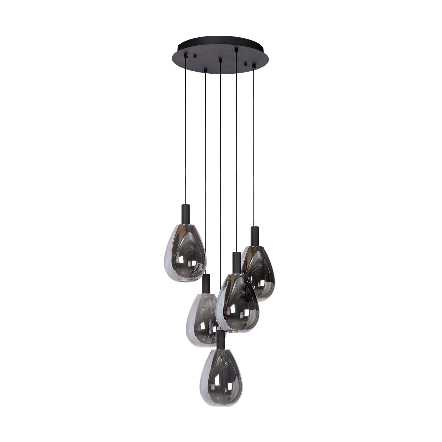 Suspension Xerus