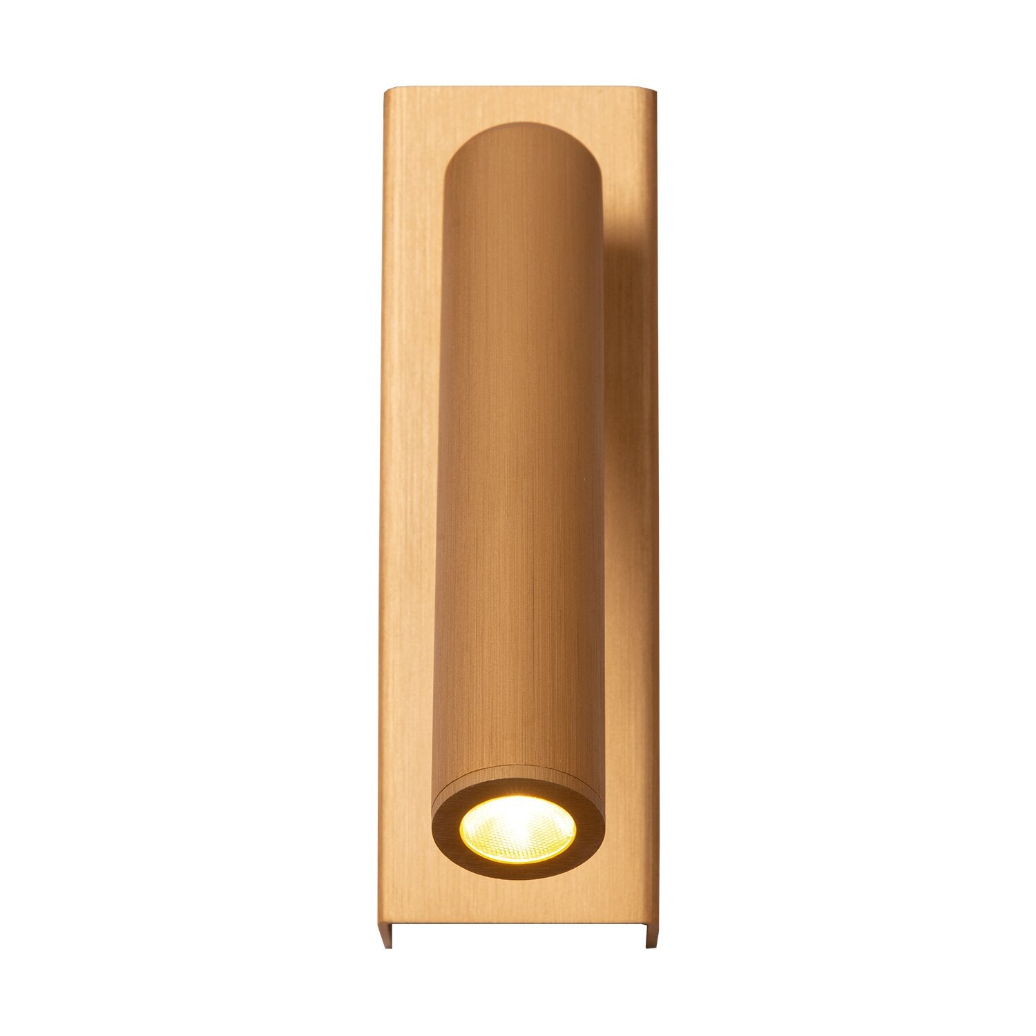 LIG95073_1.png