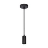 Pendant Freely incl. ceiling plate | black