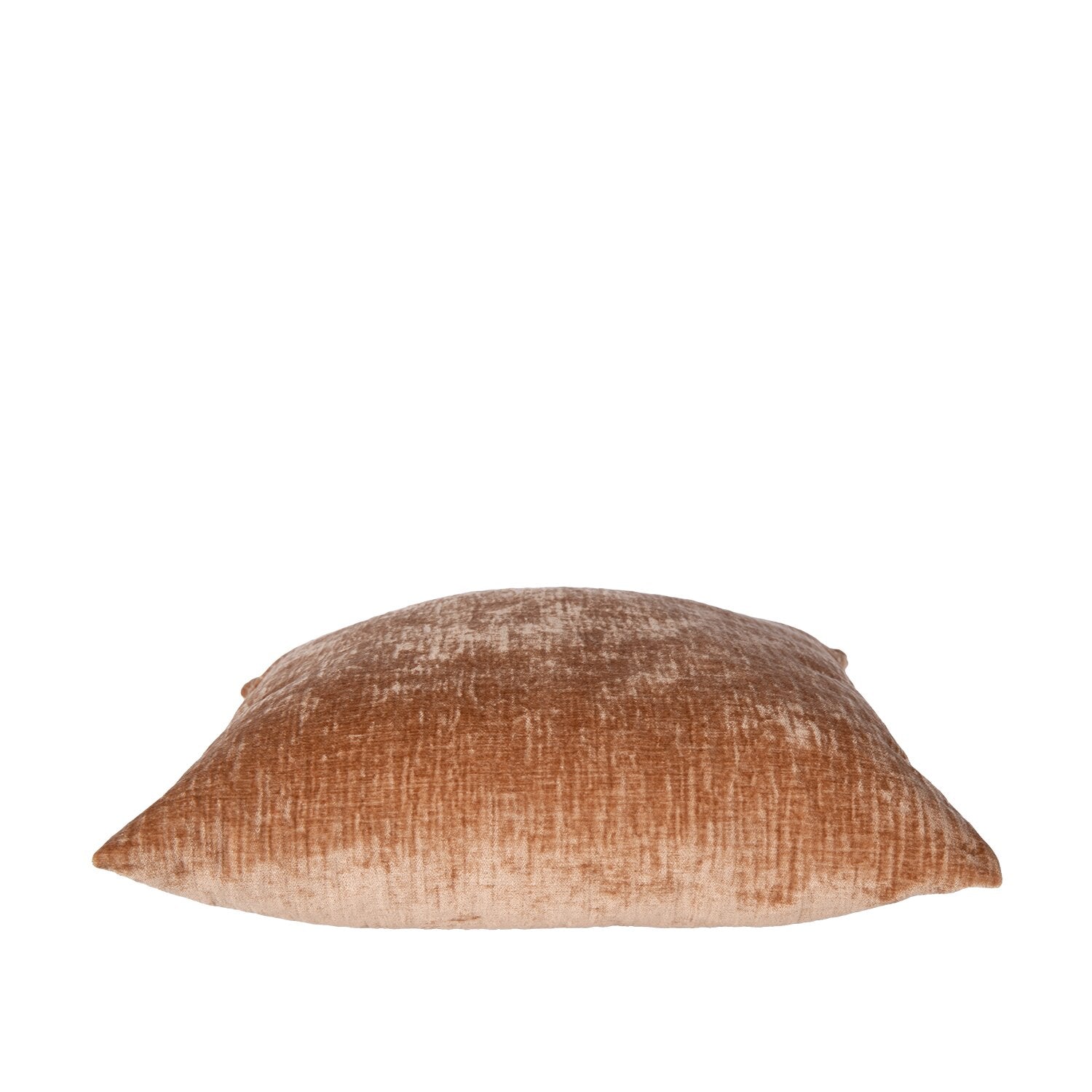 ACC93318_6.png