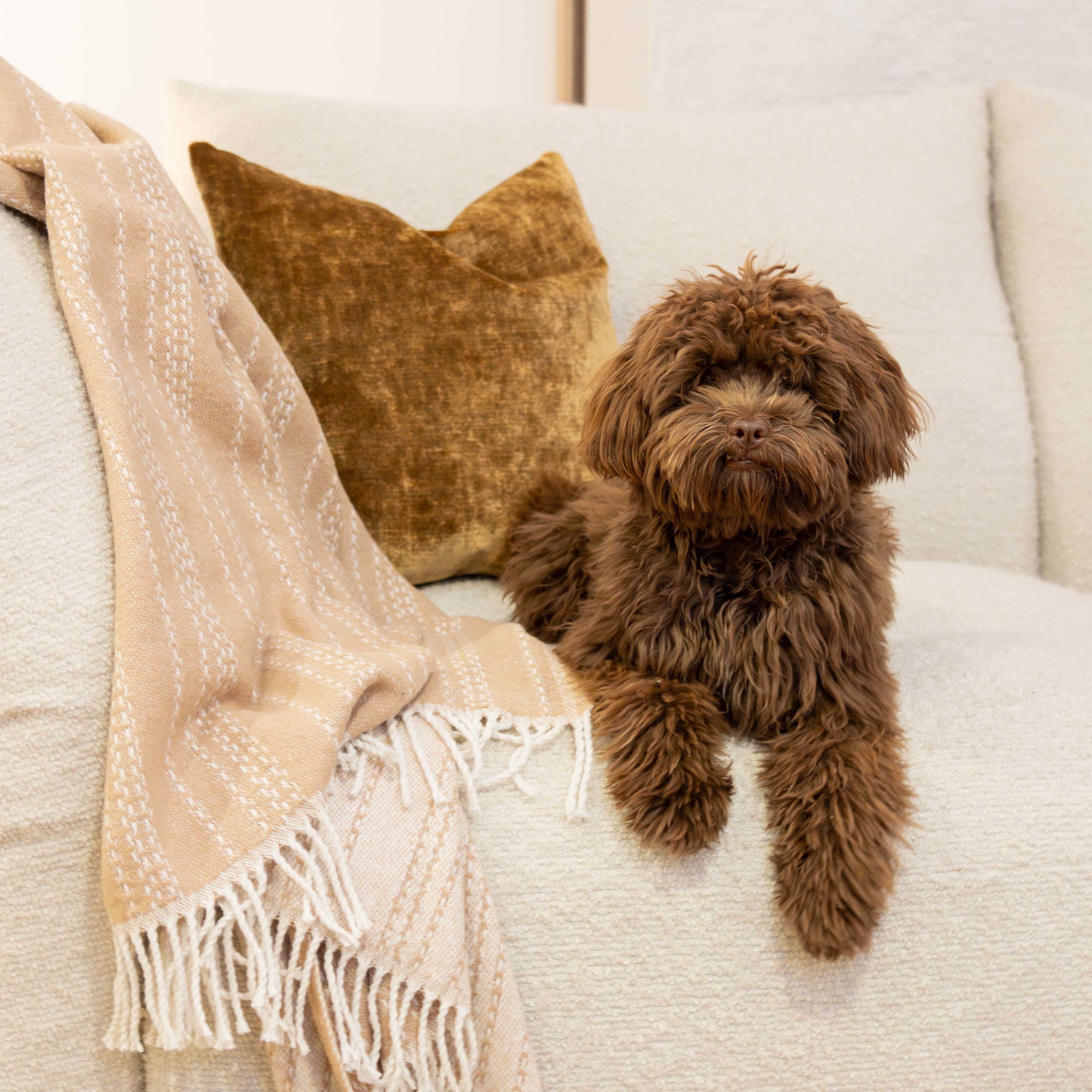 Vergelijkbare producten