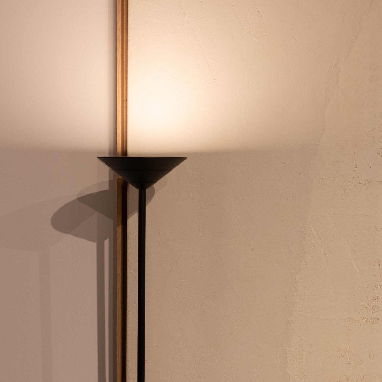 LIG94425_3.jpg
